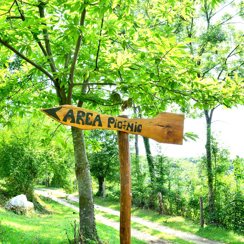 area-pic-nic-provincia-di-brescia